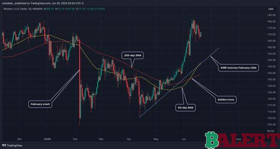 Potential Reasons for Price Surge