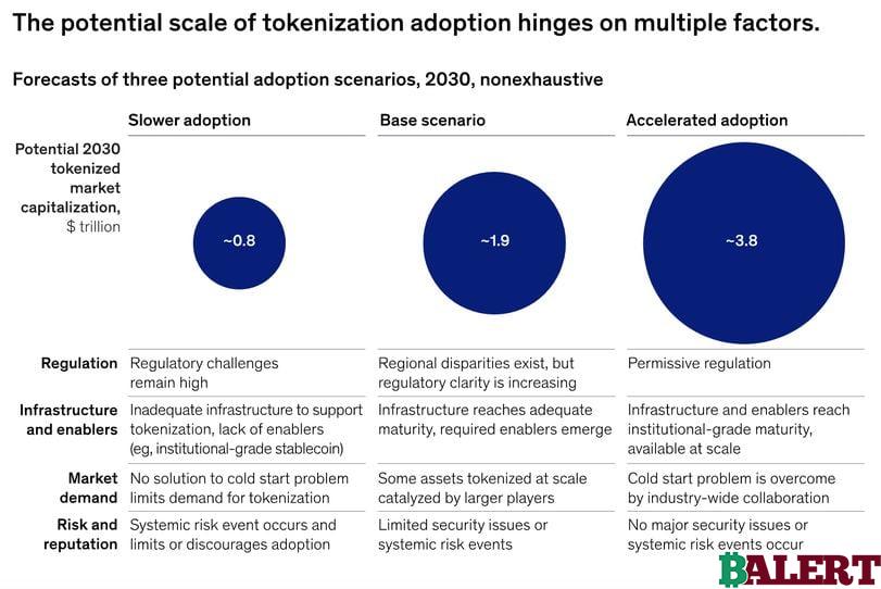 Tokenized Asset Market Outlook