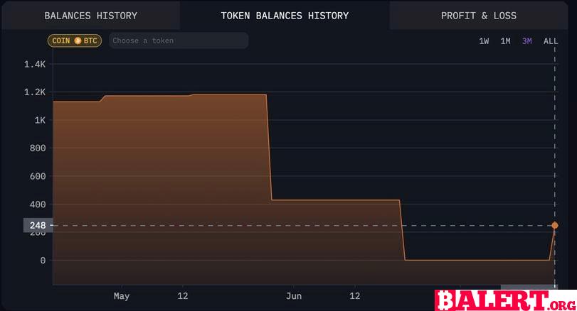 Bitcoin Investor Makes Significant Purchase