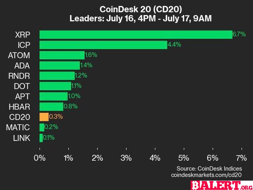 Leaders and Laggards: