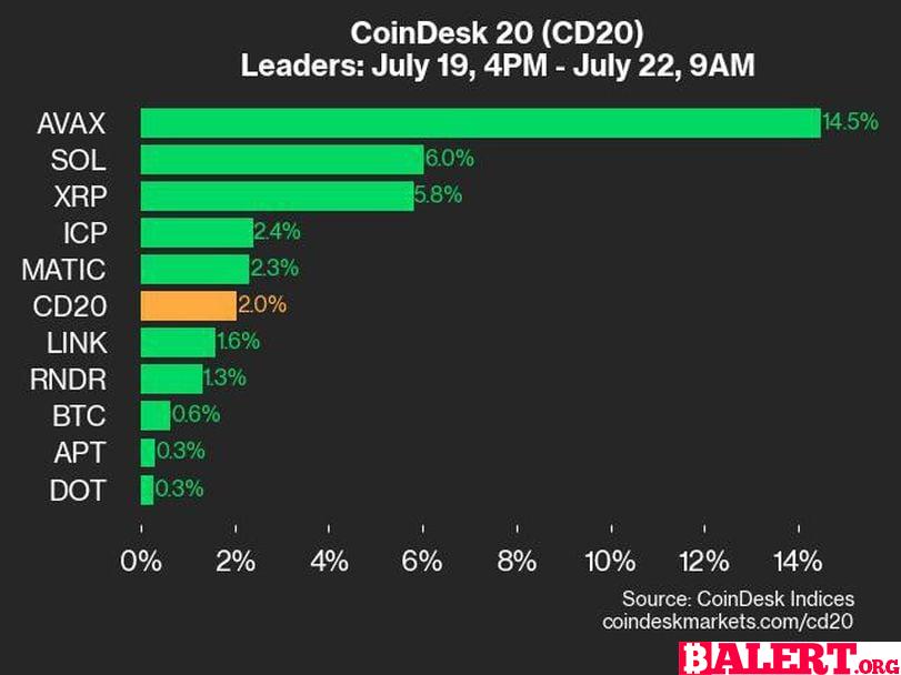 CoinDesk Indices Daily Market Update