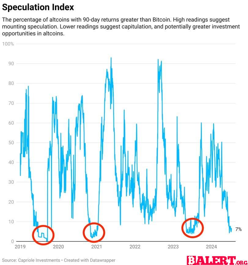 The Dynamics of Bull Markets and Speculation in the Crypto Market