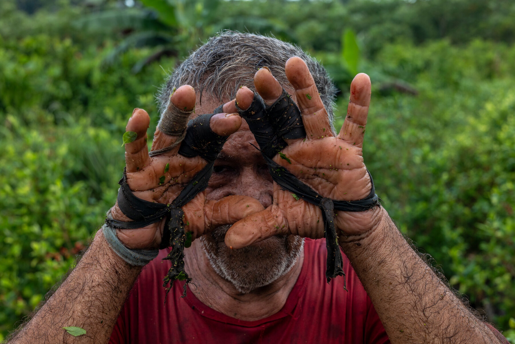 The Impact of Declining Cocaine Demand on Colombian Villages