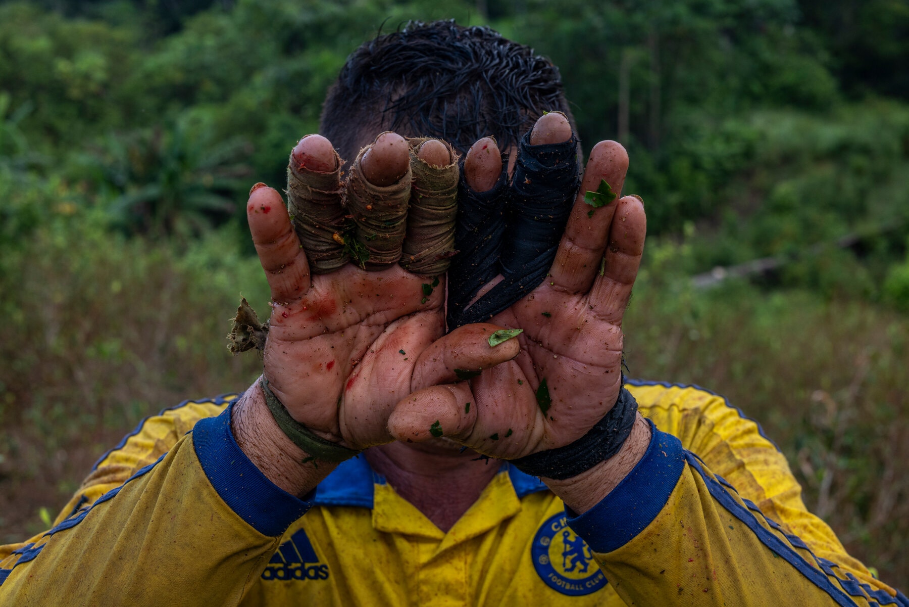 The Impact of Declining Cocaine Demand on Colombian Villages