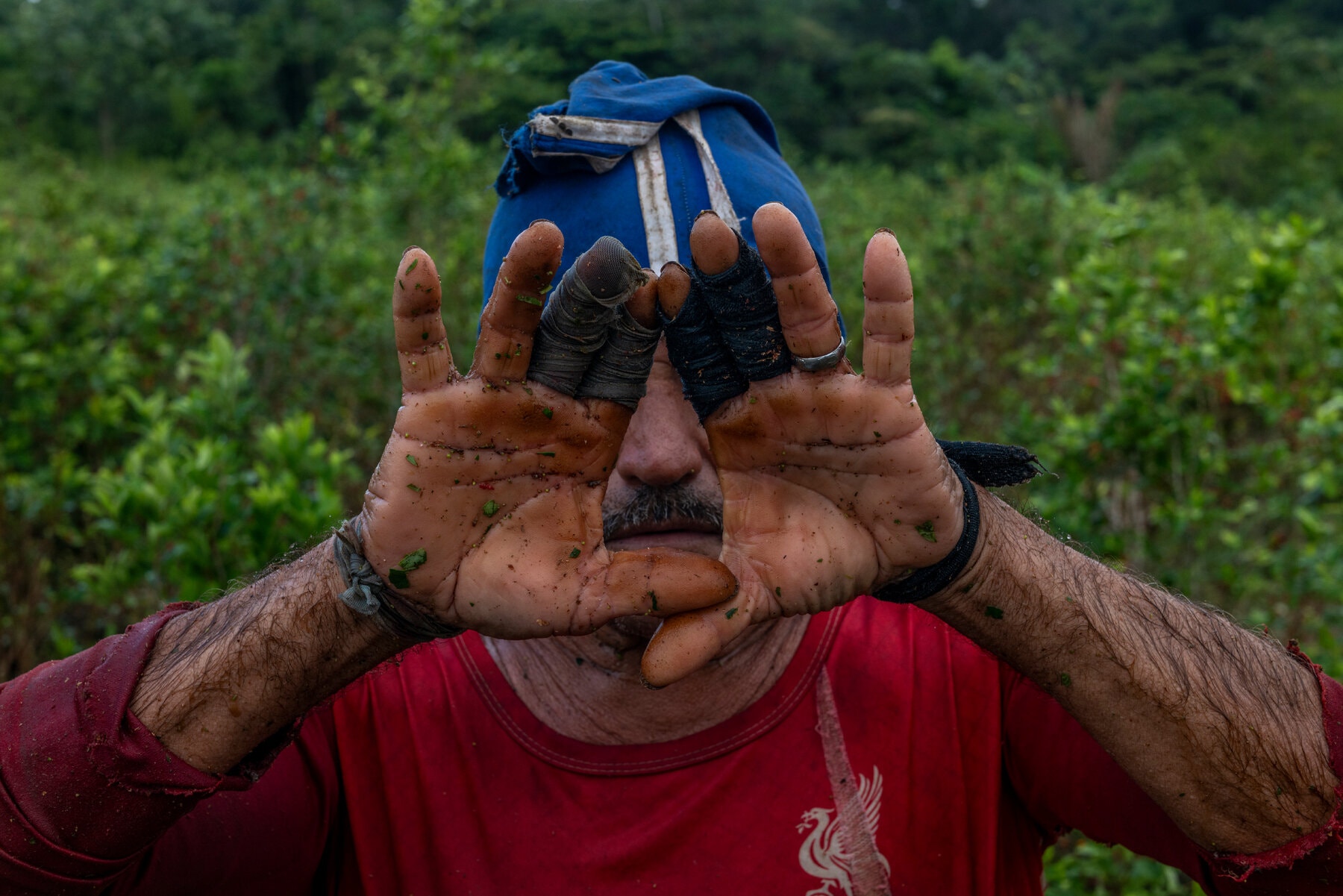 The Impact of Declining Cocaine Demand on Colombian Villages