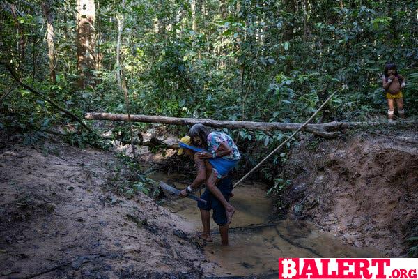 A Journey Through the Rainforest: The Resilience of Varî Vãti Marubo