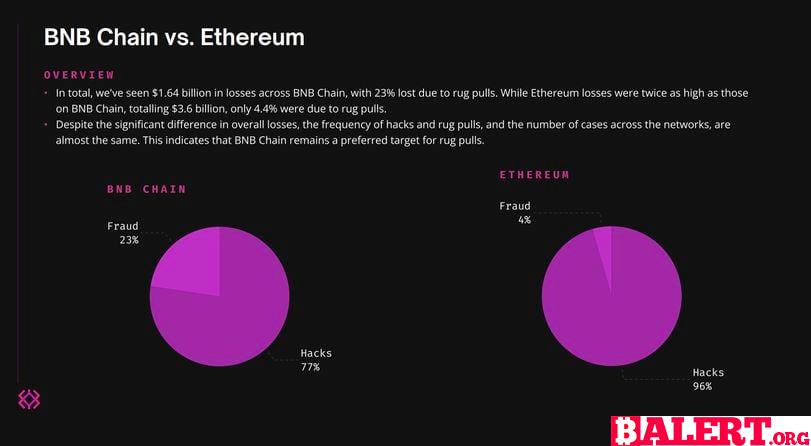 The Vulnerability of BNB Chain to Rugpulls