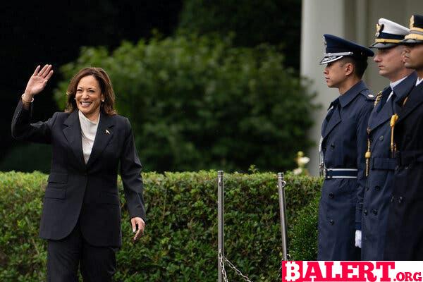 Vice President Kamala Harris: A Strong Contender for the Democratic Presidential Nomination