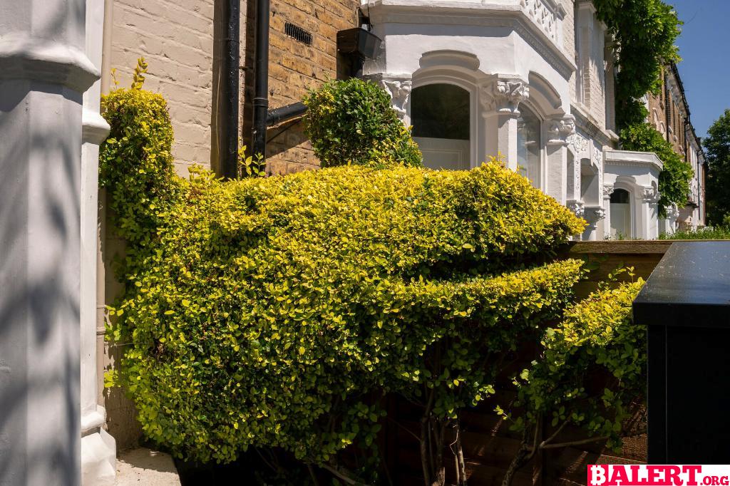 Whimsical Hedge Creations by Tim Bushe