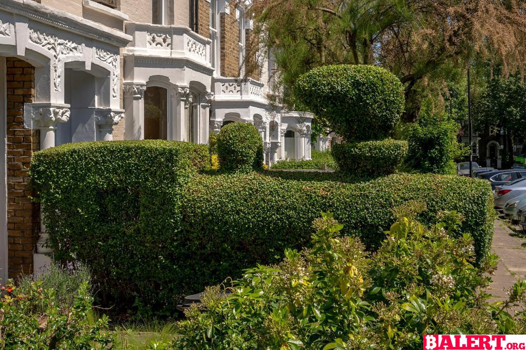 Whimsical Hedge Creations by Tim Bushe