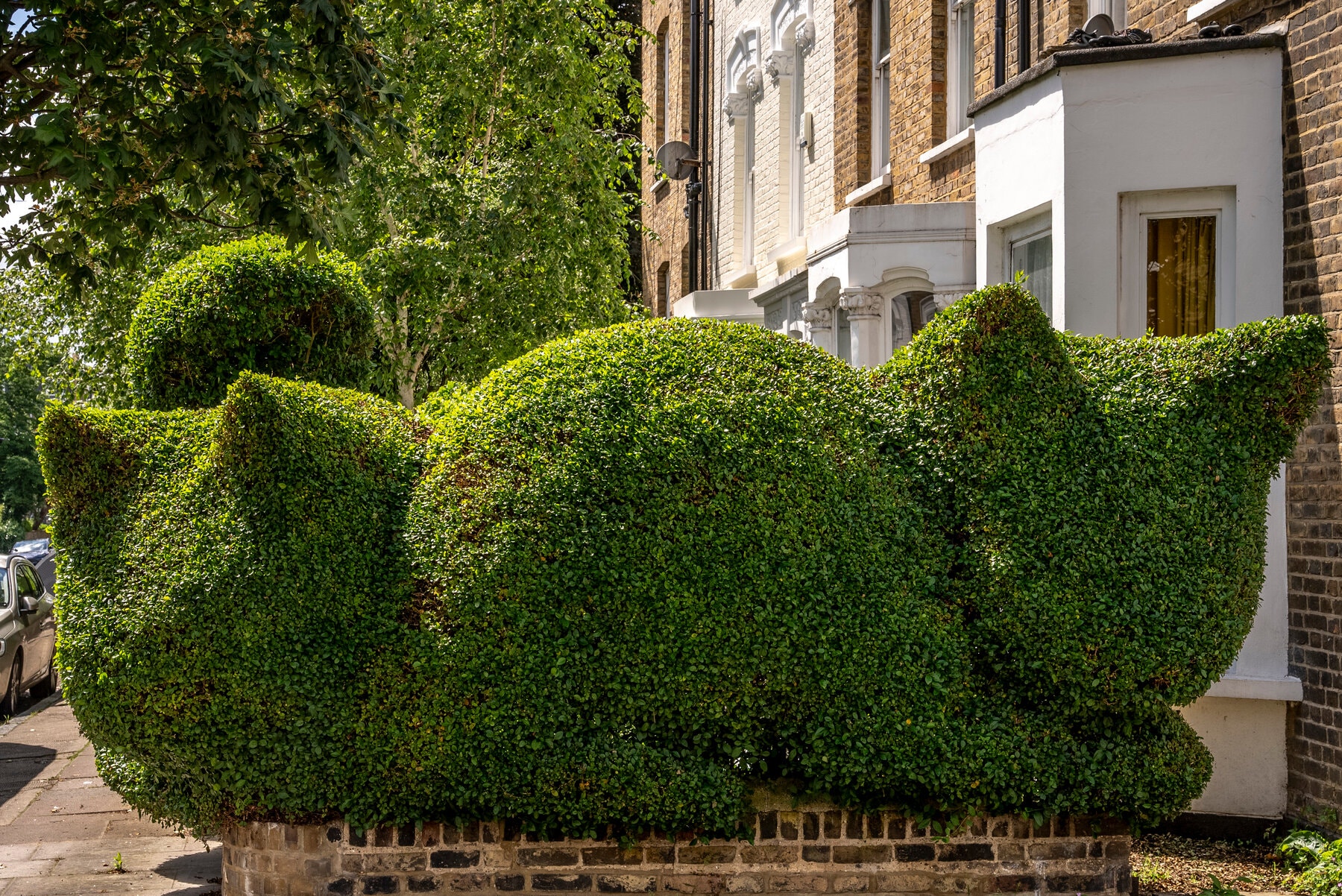 Whimsical Hedge Creations by Tim Bushe