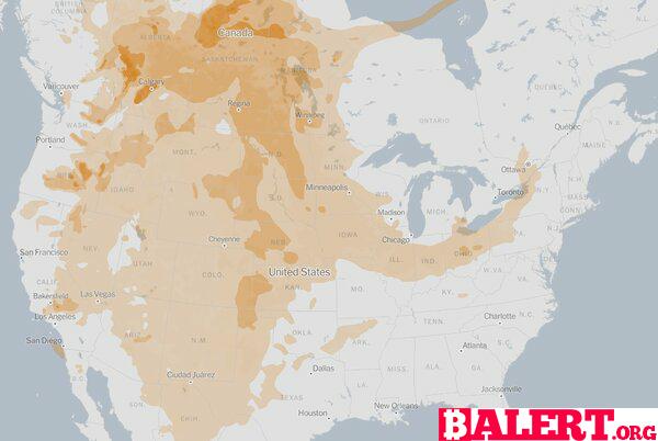 Wildfires Rage Across Northwestern United States and Western Canada