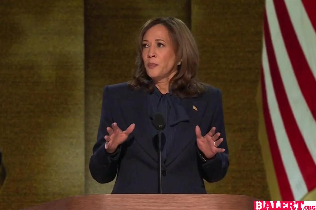 Kamala Harris Addresses the Gaza Conflict at the Democratic Convention