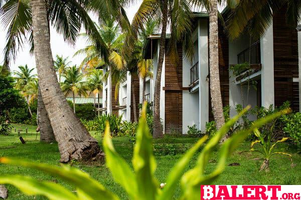 La Ilusión de un Paraíso Perdido en Vieques