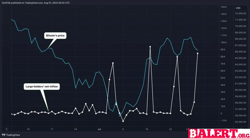 Large Bitcoin Holders Increase Accumulation Amid Market Volatility