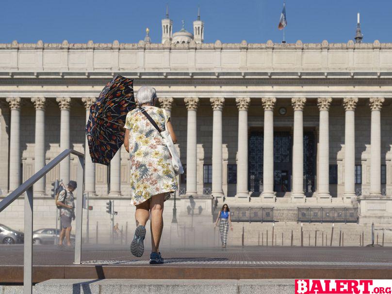 The Heartbreaking Outcome of the French Snap Elections for Climate Advocates