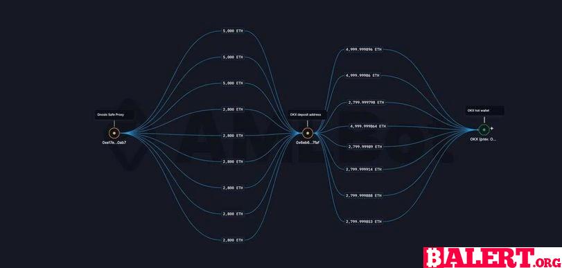 Whale Movement in the Crypto Market