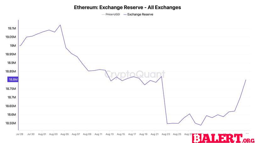 Market Overview