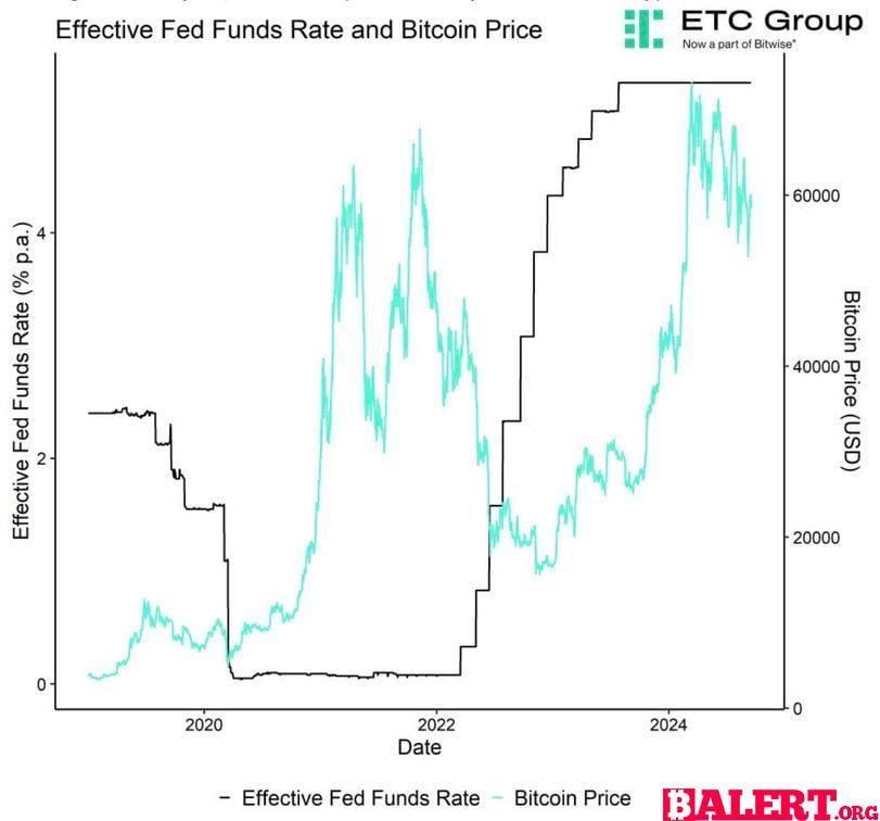 Key Insights