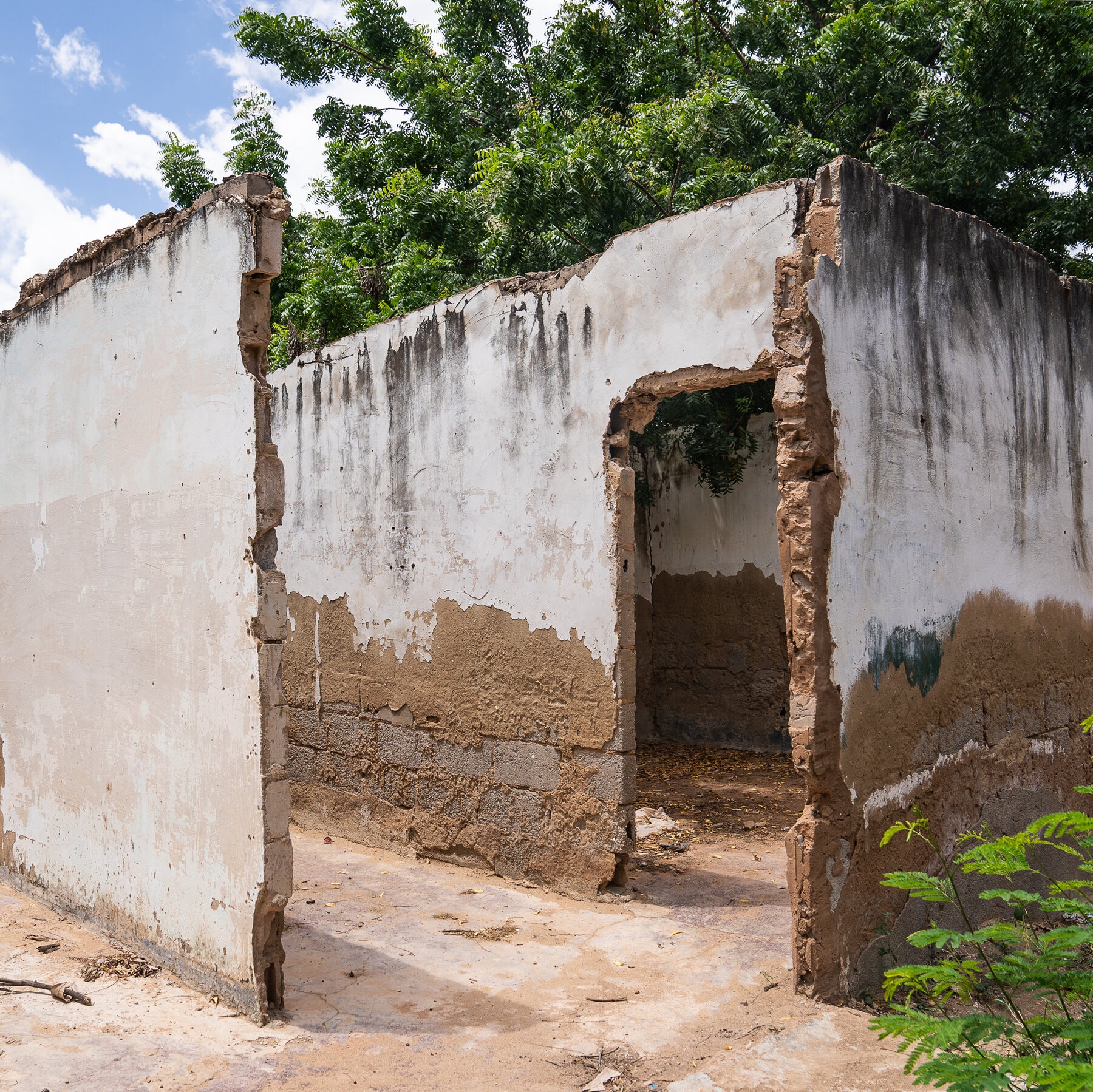 El Desvanecimiento de Maracaibo: Un Éxodo Masivo