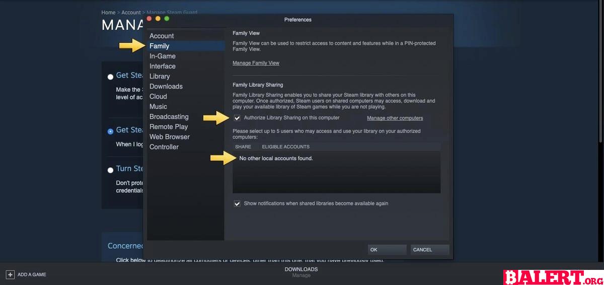 Enhance Your Gaming Experience with Steam Family Sharing Feature