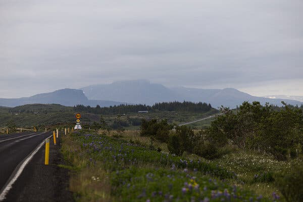 My Knitting Adventure in Iceland