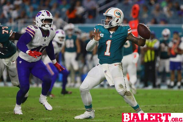 A New Attempt to Sell a Stake in the Miami Dolphins